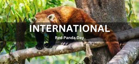 International Red Panda Day [अंतर्राष्ट्रीय लाल पांडा दिवस]